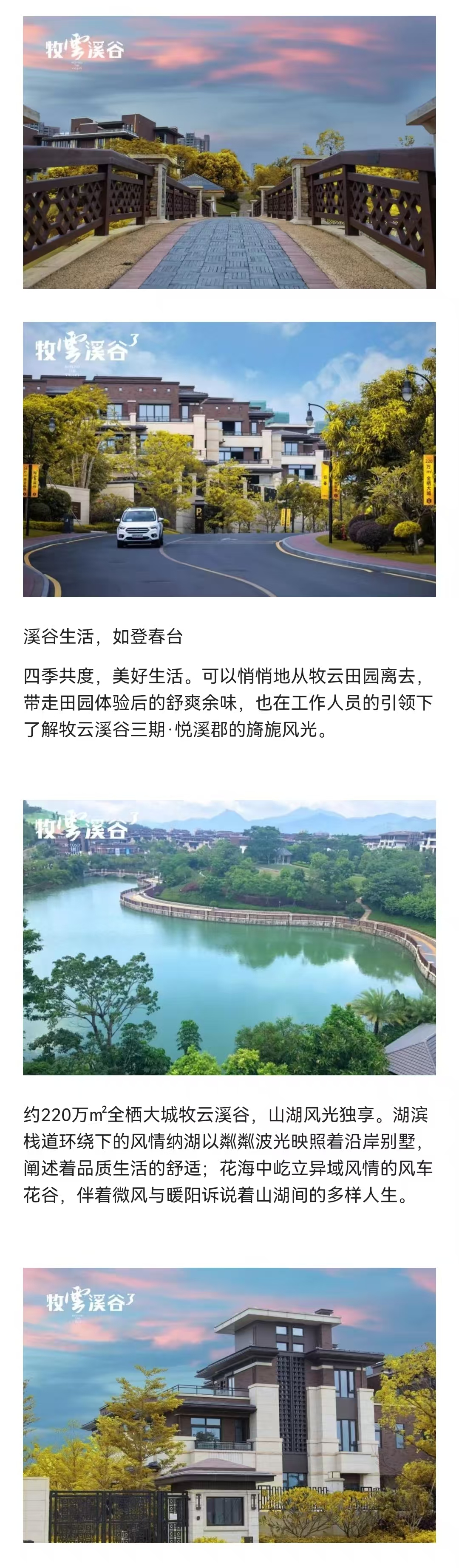 1745893630498915.jpg 1cf63e393c20f17215ae03c2d9d1c2d.jpg