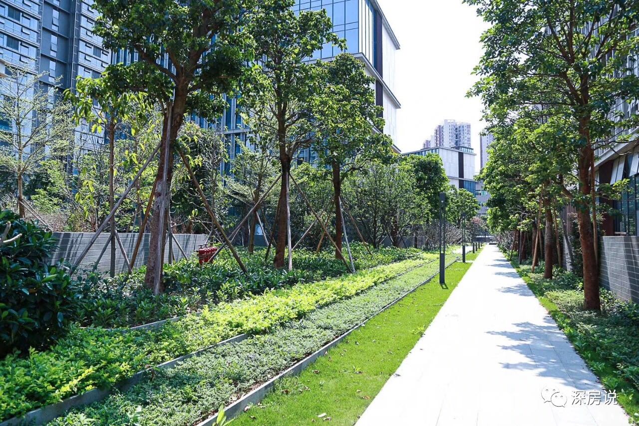 1749610895480818.jpg 768ccc7c6f7e495c32743f0908419b5a.jpg