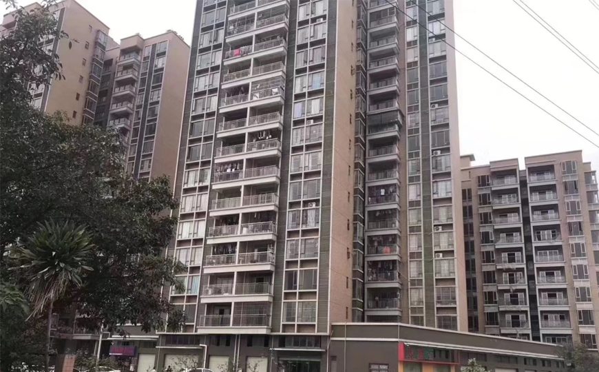 長安-金澤家園 地鐵口6棟花園小區