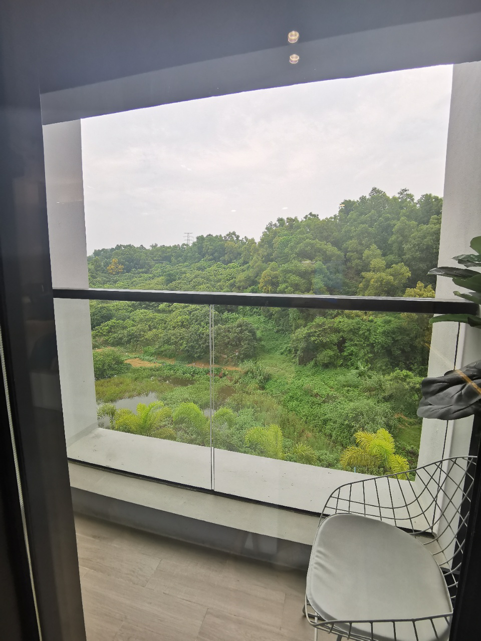 1599532137572116.png 1599532137572116.png