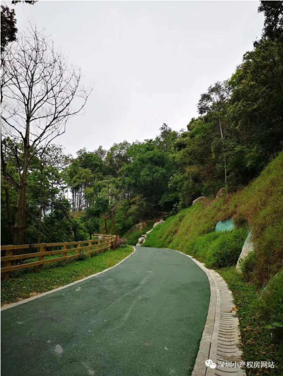 山水綠園一房一廳56平方，56.8萬/套起