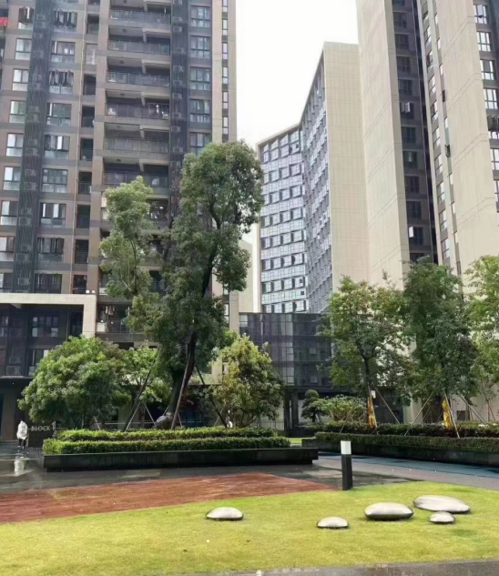 觀瀾新城締造世界級國際產(chǎn)業(yè)均價(jià)26500元/平