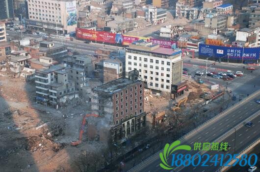 云波社區(qū)一共有五個城中村改造項(xiàng)目在進(jìn)行