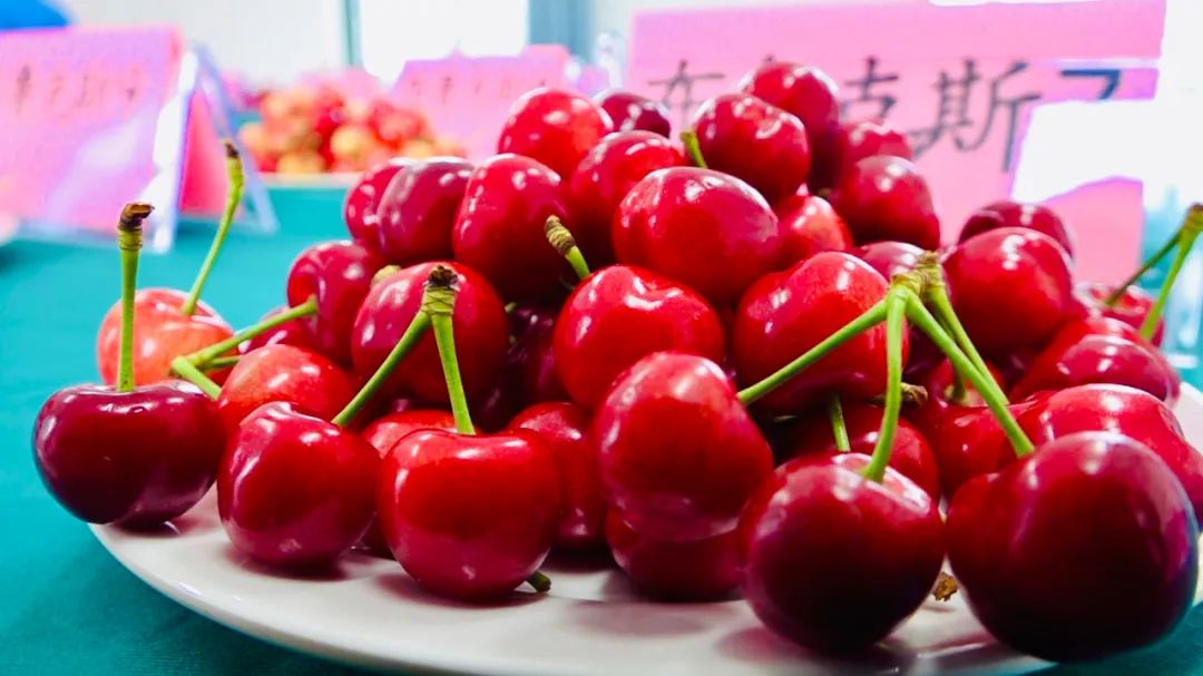 海淀區(qū)蘇家坨管家?guī)X堪稱天然風景區(qū)