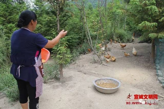 二德莊村一村民說