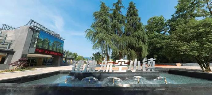 通常作為項目建設的實施者和運營者而存在