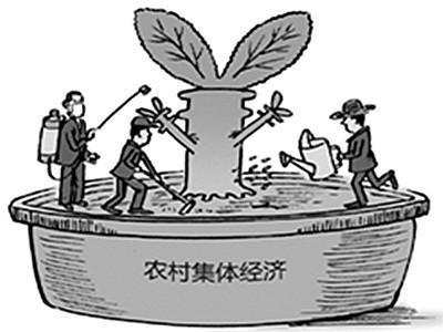 非本集體經濟組織的成員